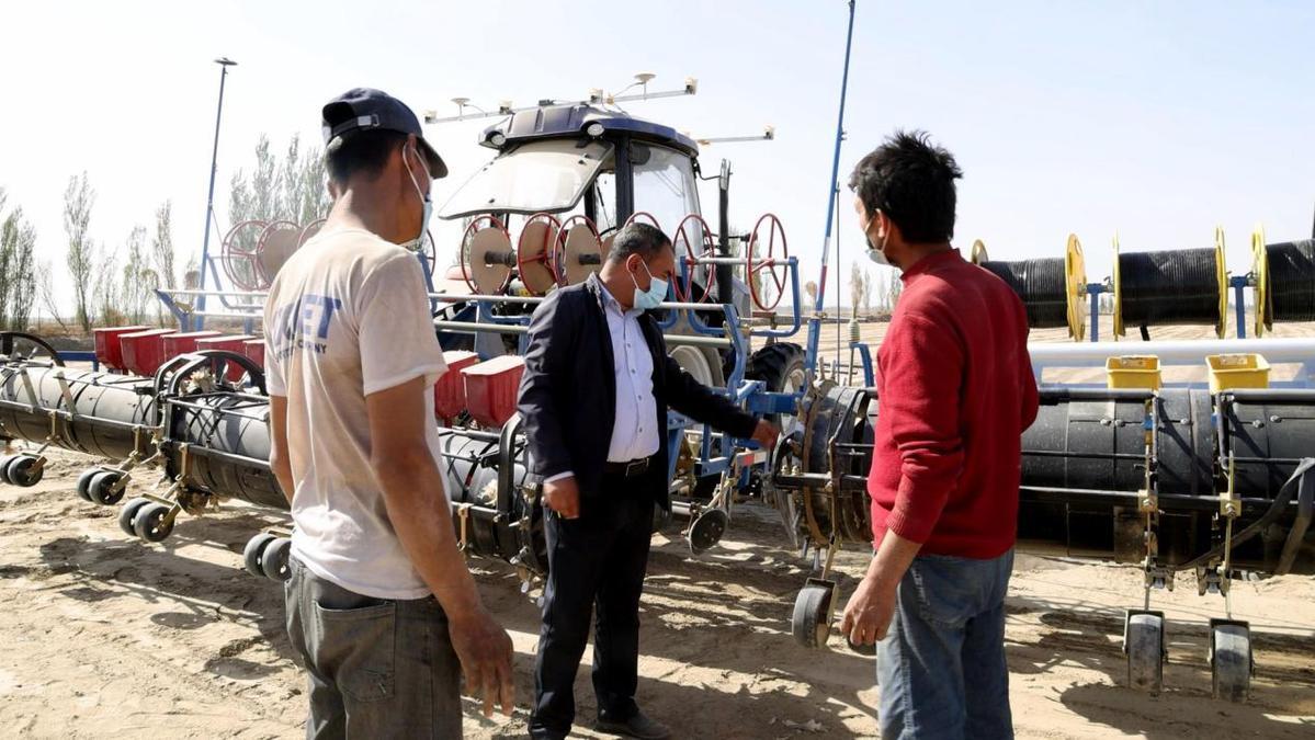 巴格阿瓦提乡组织专业技术人员深入田间地头,现场指导村民进行棉花播种工作。