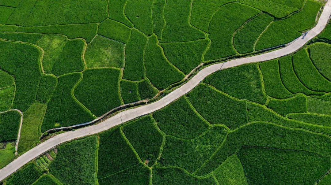 罗京来摄(中经视觉)