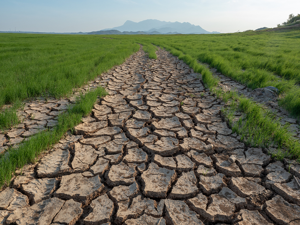 2022年8月19日,江西九江,鄱阳湖裸露的湖底因干旱龟裂  视觉中国 图