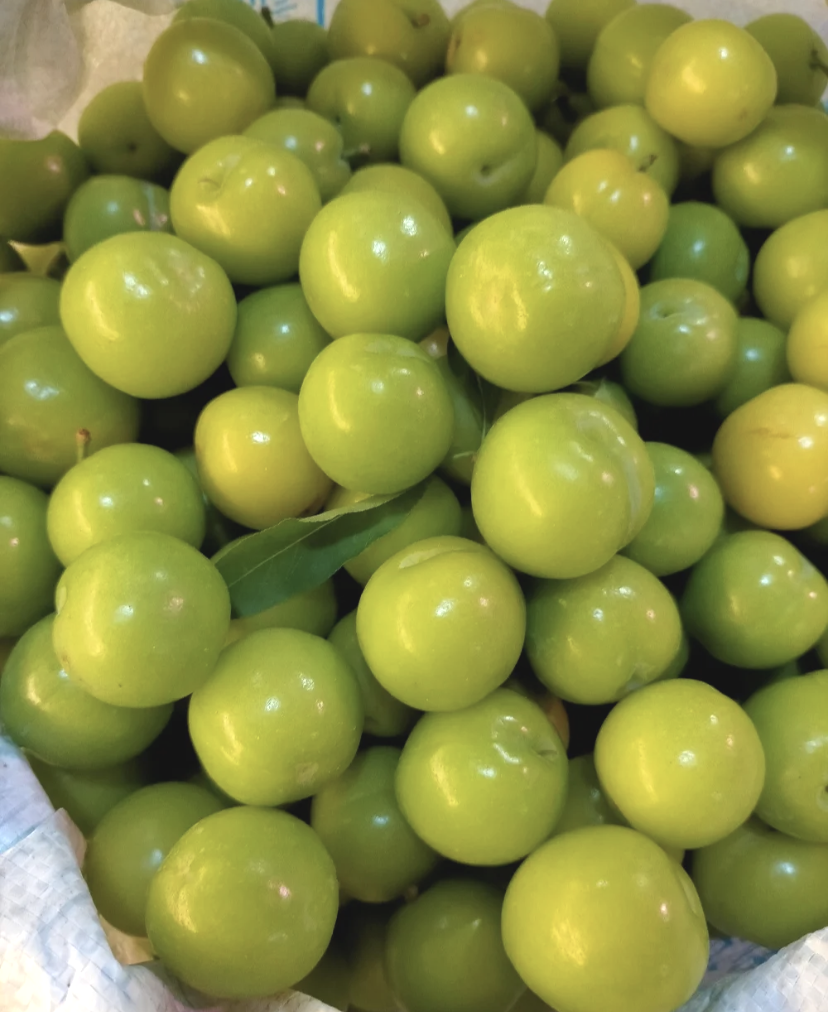 汁甜果脆正当季,再不剁手就晚了啊啊啊__凤凰网