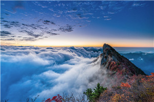 ui设计初学设计该不该报培训班? ui设计初学设计该不该报培训班?