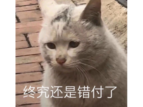 图片13.png