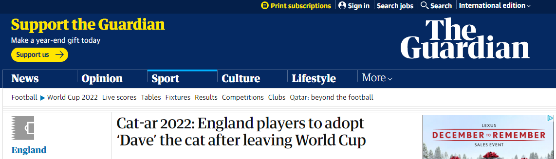 《卫报》：英格兰球员在世界杯后收养了一只名为“戴夫”的猫