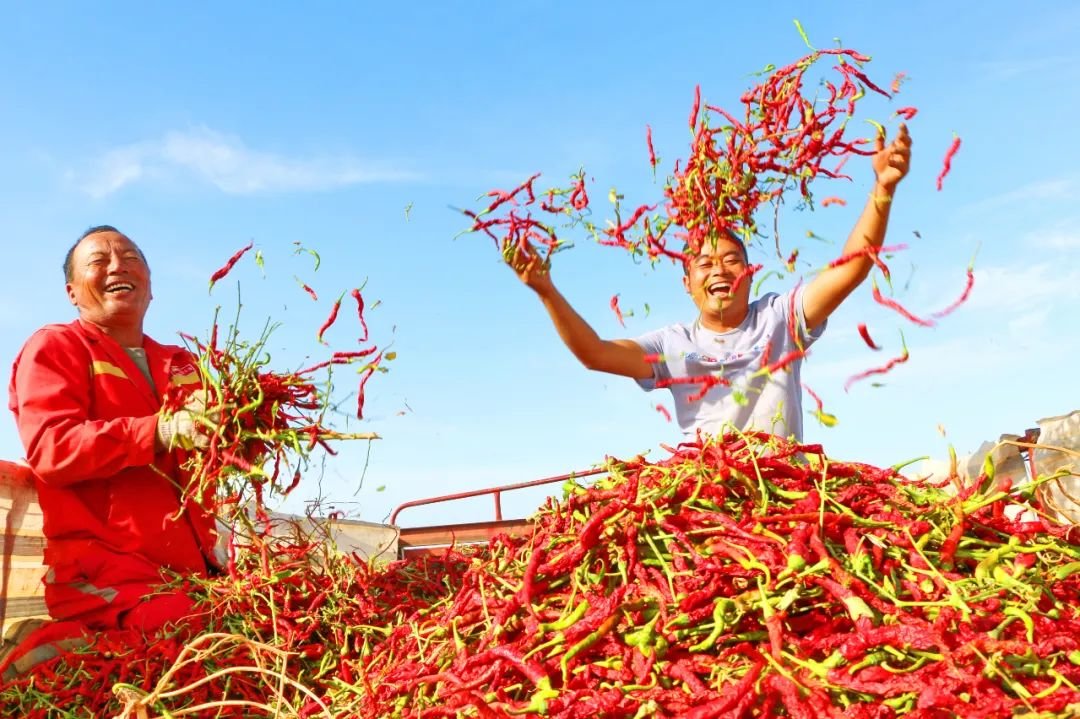 二十大报告中,这个高频词值得细品!_凤凰网资讯_凤凰网