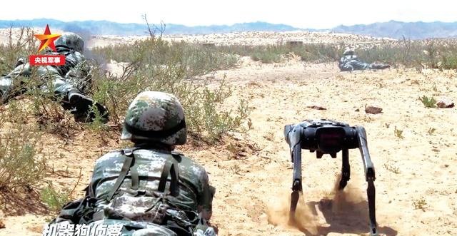 实战演习中的国产“红翼前锋战斗机器犬”