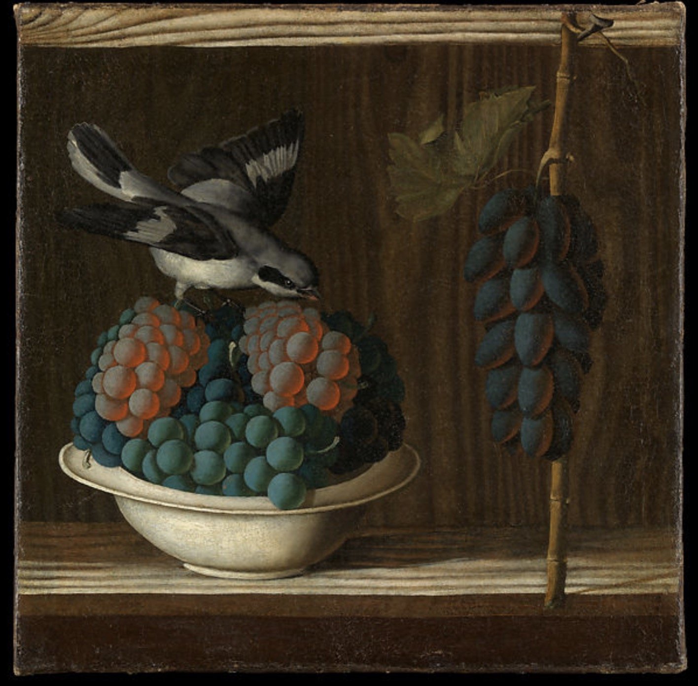 安东尼奥·莱昂内利(Antonio da Crevalcore)，《葡萄和鸟的静物》，约1500-1510年