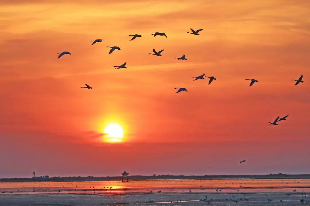 王福东摄(中经视觉)