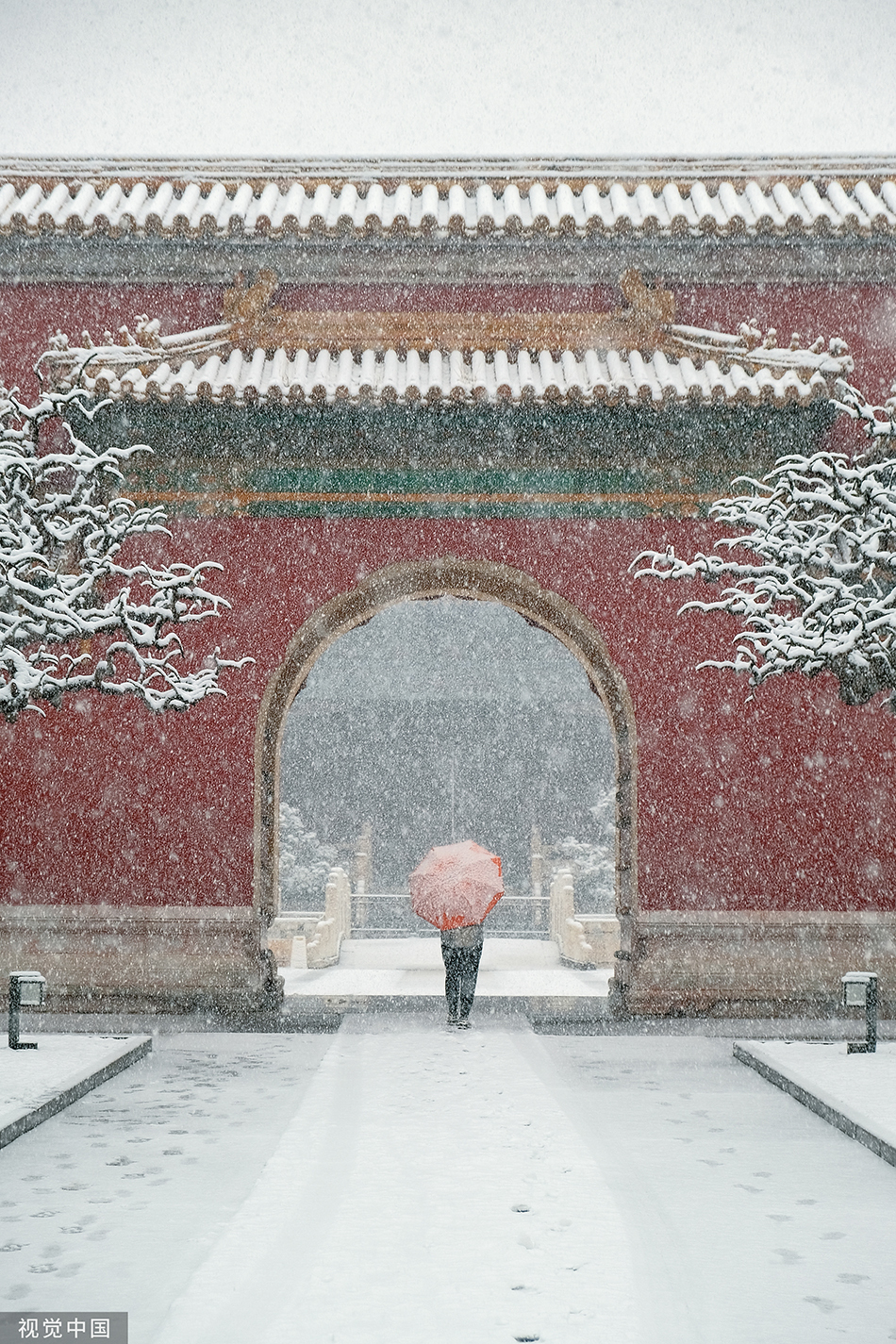 一周图片这场雪与春天撞了个满怀