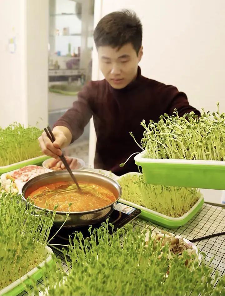 我在阳台疯狂种菜,有2000种神器,成行业TOP3