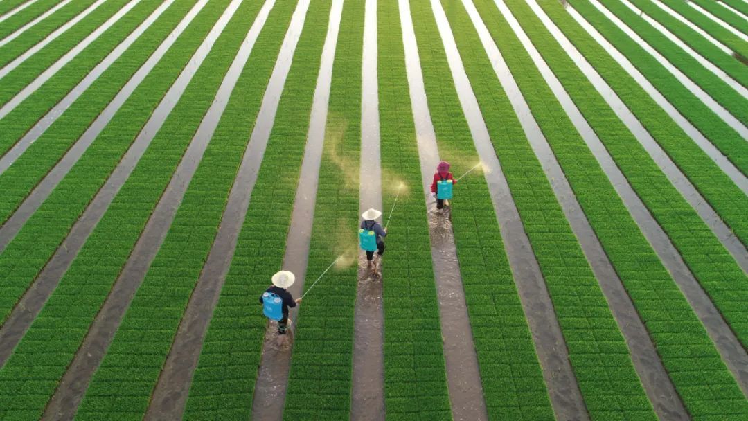 房德华摄(中经视觉)