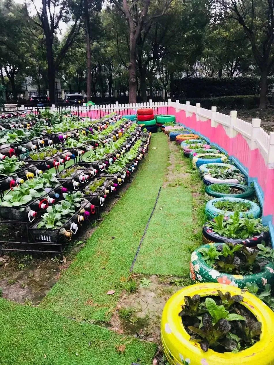 一眼望去，菜园里几百个瓶子都种着蔬菜 参考资料：澎湃新闻