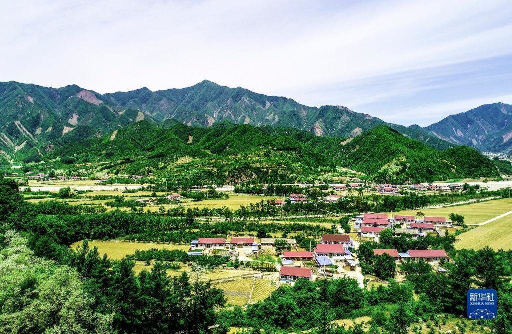 这是庄河市步云山乡景色（2021年5月27日摄）。新华社发