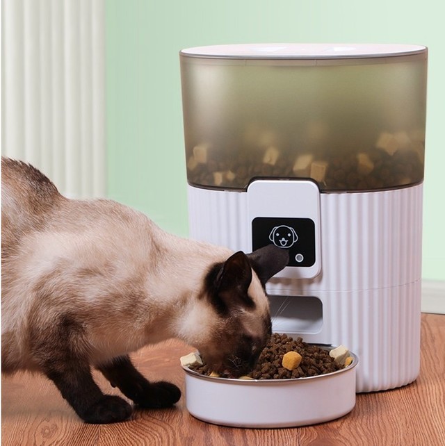D-cat多可特宠物自动智能喂食器