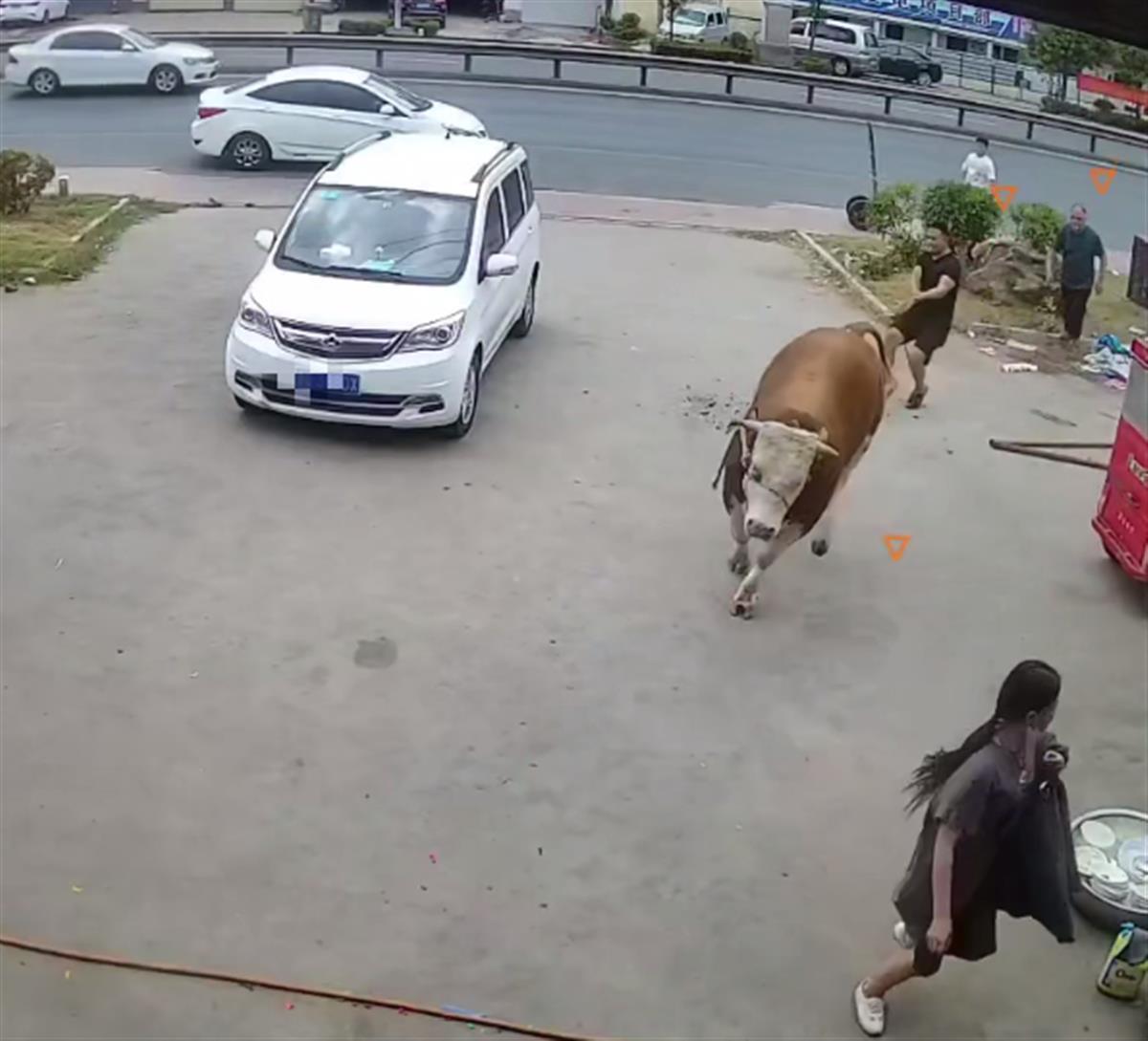 一头黄牛突然狂奔冲向一名女子（图片来源 监控视频截图）