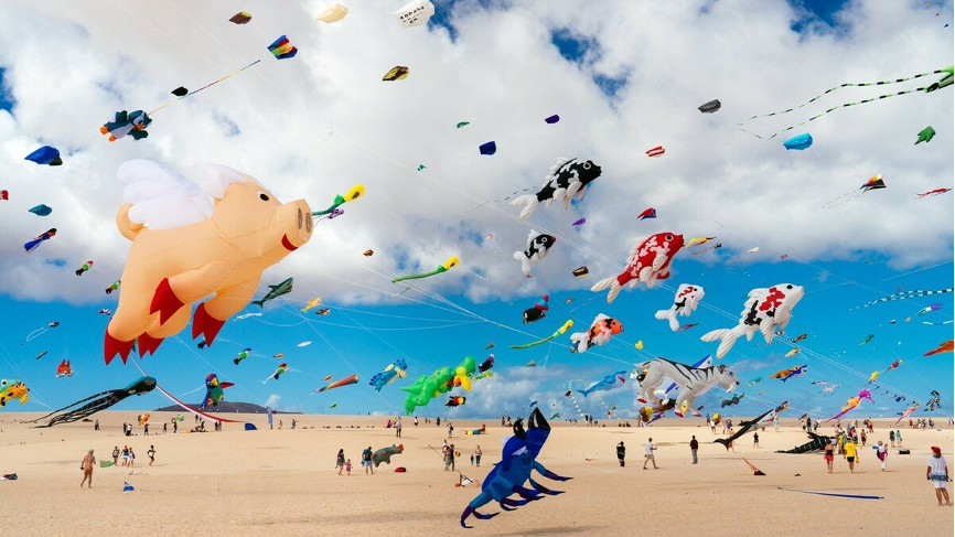 筝舞蓝天法国辽宁协会滨海贝尔克风筝节逐梦芳华