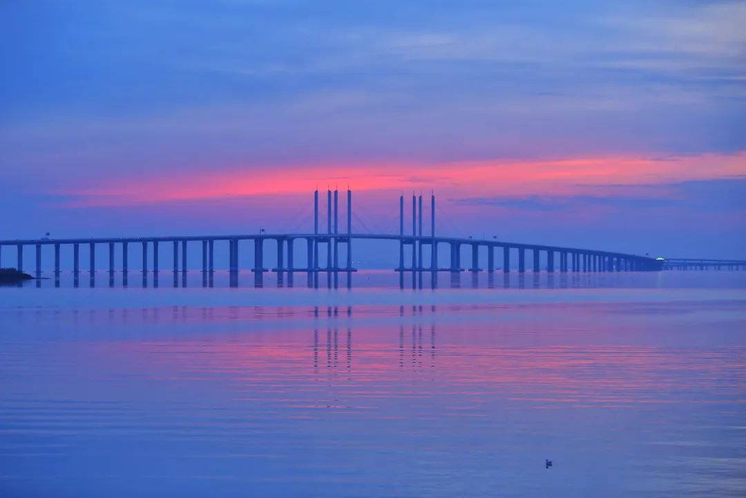 张鹰摄(中经视觉)