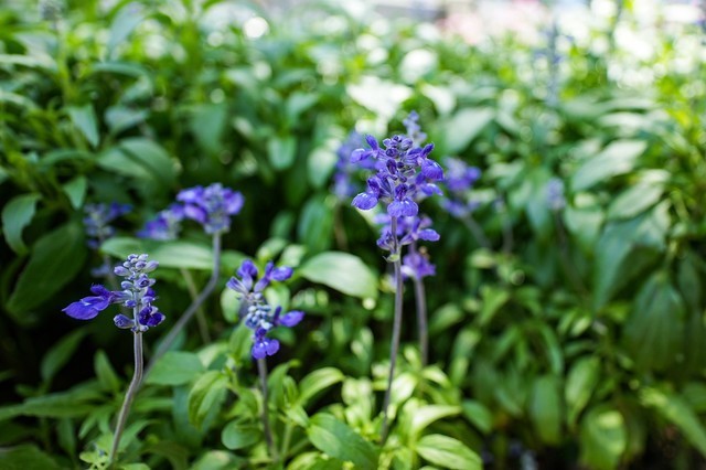 【有料评测】超广角定焦 索尼E 11mm F1.8镜头评测