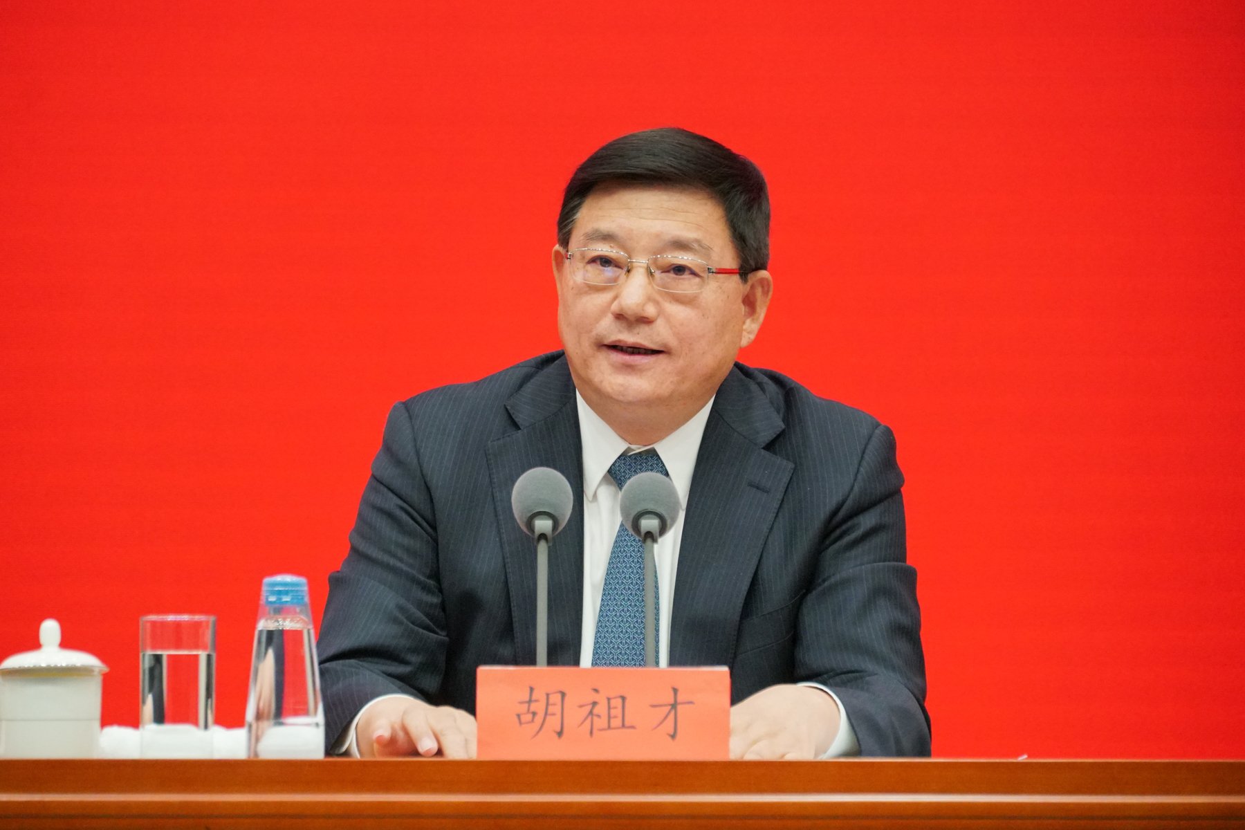 国家发展改革委副主任胡祖才  澎湃新闻记者 周頔 摄