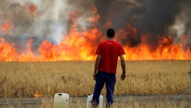 当地时间7月18日，西班牙萨莫拉省，一名牧羊人站在路边，远处的大火烧毁了麦田。