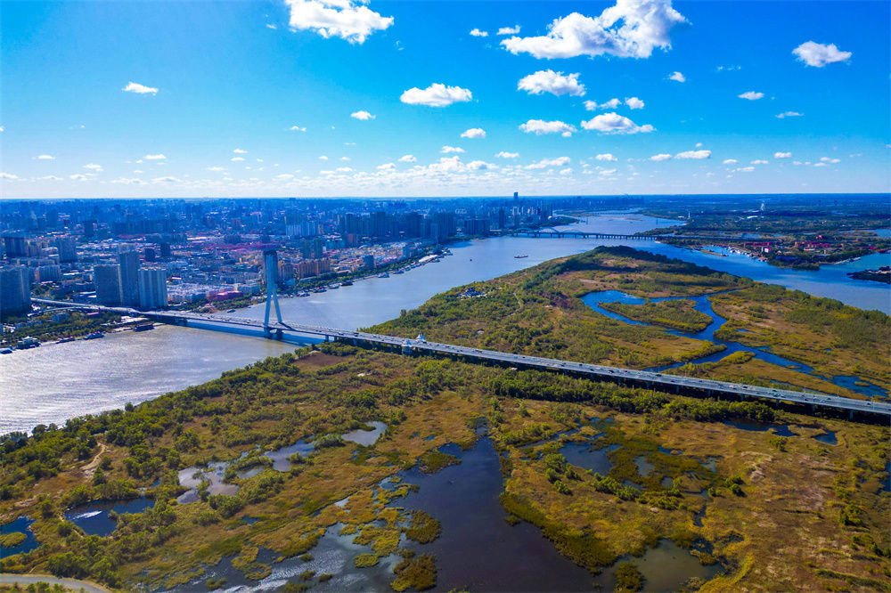这是10月4日拍摄的哈尔滨市阿勒锦岛国家级湿地公园景色(无人机照片).