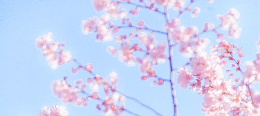 成都供卵价格（上海集爱医院彭献东医生：疫情期间，做不了试管，我能自怀吗？）