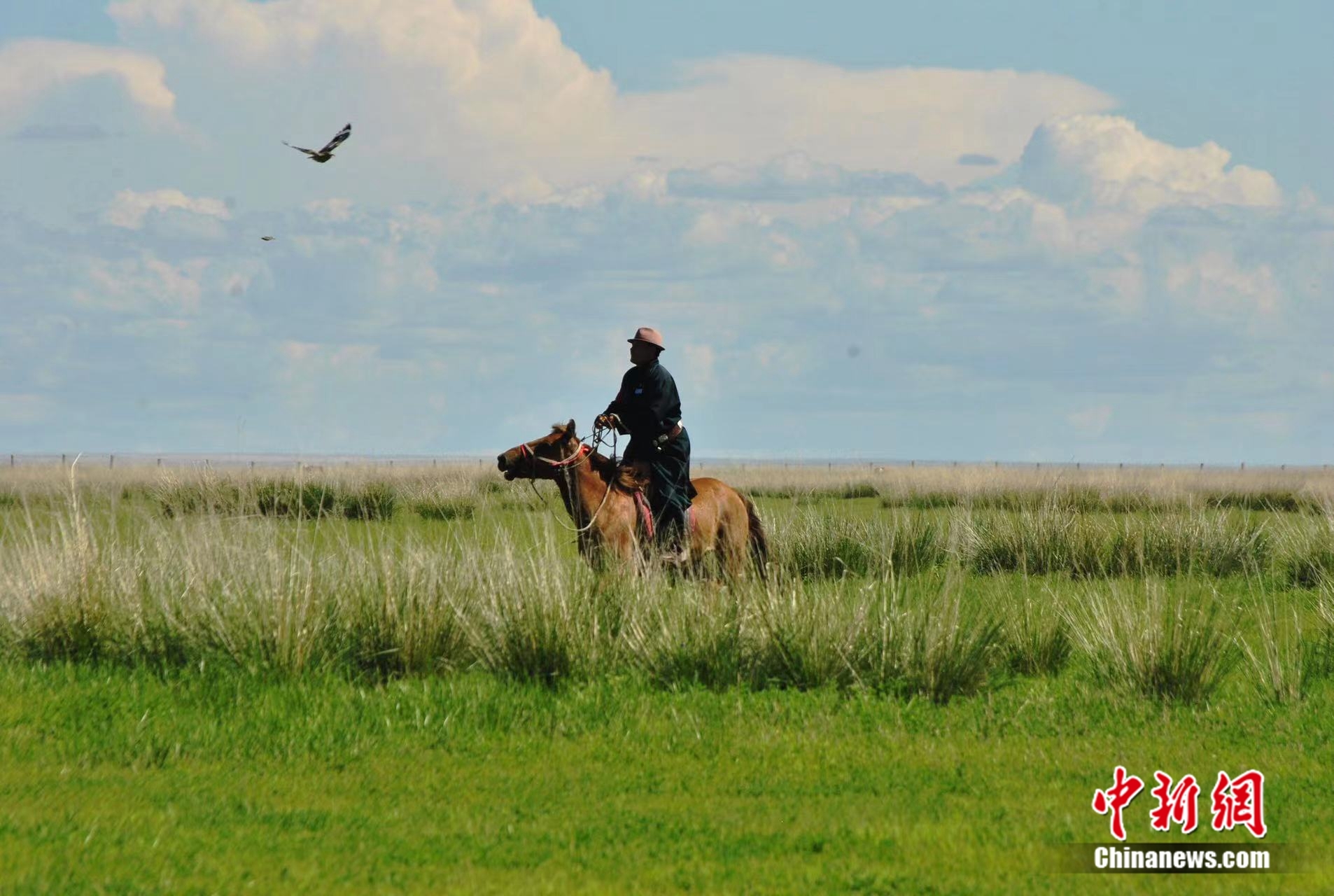 图门在草原上策马驰骋. 苏亦瑜 摄