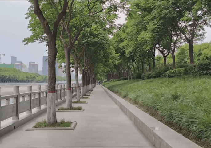 天玑拍照翻身之作!vivo S15 Pro首发评测:IMX766V拍照优秀 蜂鸟防抖够稳