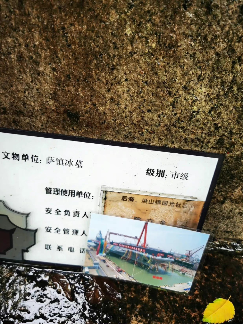 龙游浅水勿自弃，终有扬眉吐气天