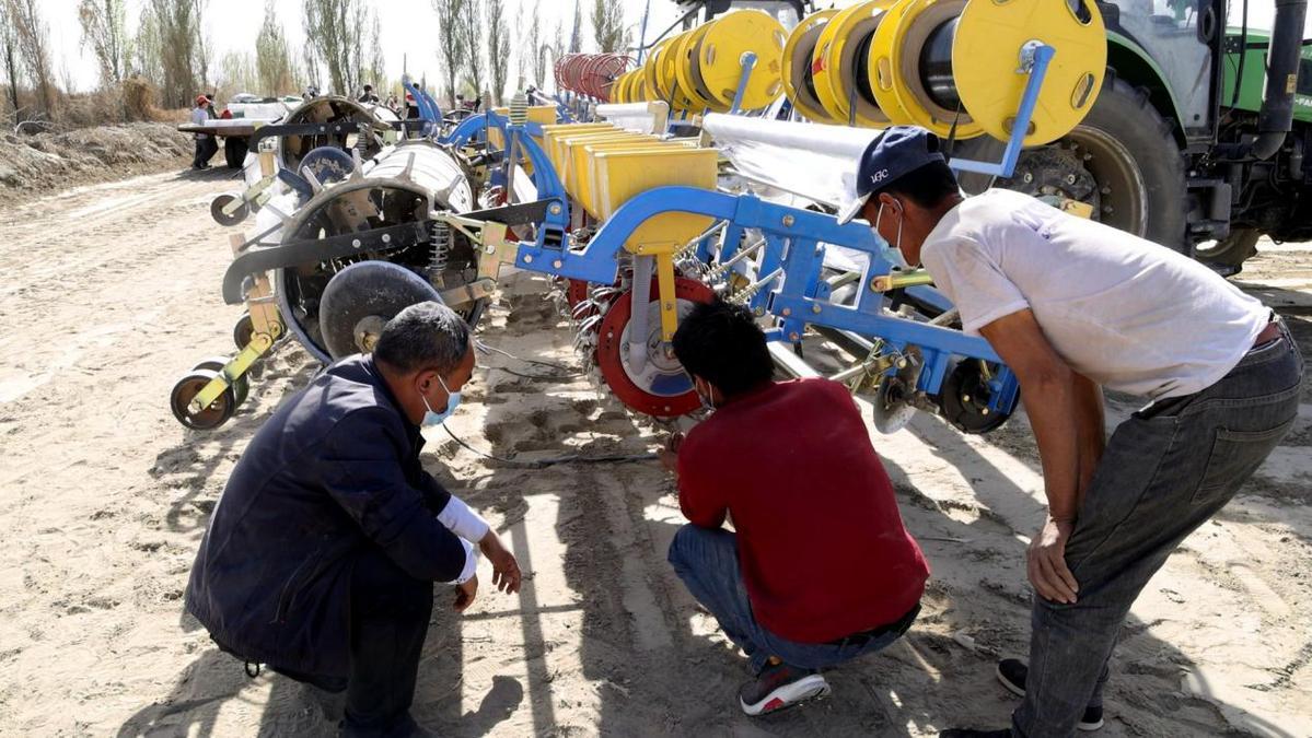 巴格阿瓦提乡组织专业技术人员深入田间地头,现场指导村民进行棉花播种工作。