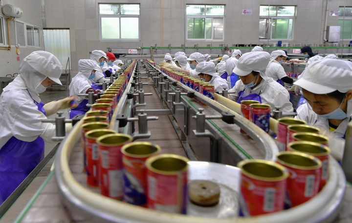 图为工人在泉州石狮一家水产品加工企业的生产线上赶制出口东南亚的