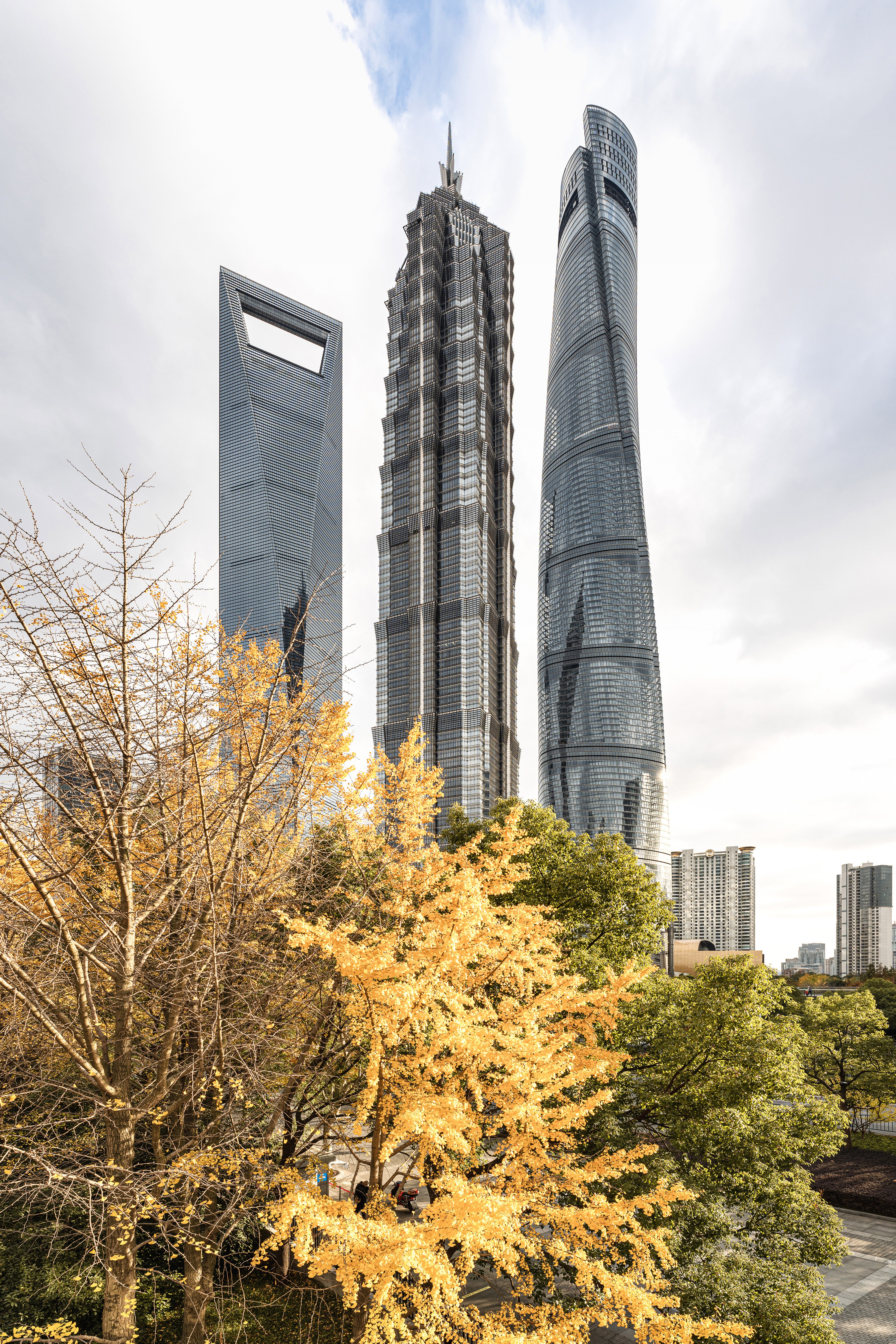 上海-陆家嘴-银杏三件套 2.JPG