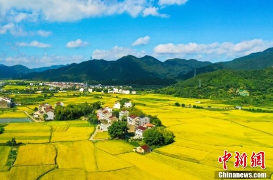 金秋晒丰收航拍各地田间披金美景