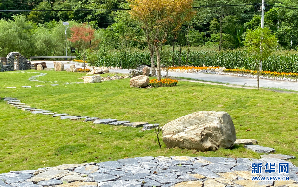 图为田家院子居民集资修整的“口袋公园”，风景如画。新华网 肖进安 摄