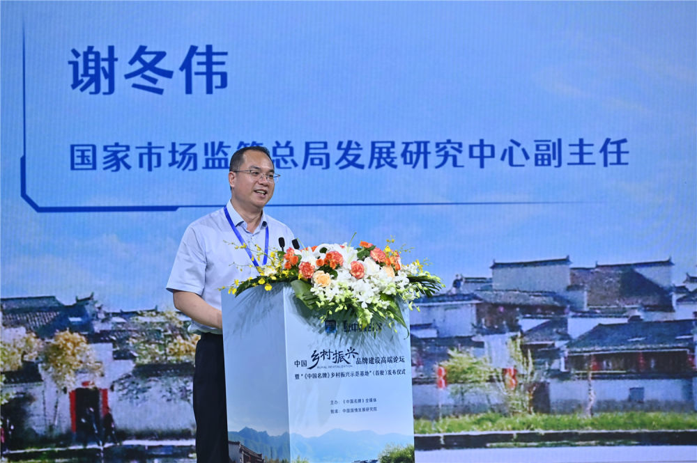 国家市场监管总局发展研究中心副主任谢冬伟