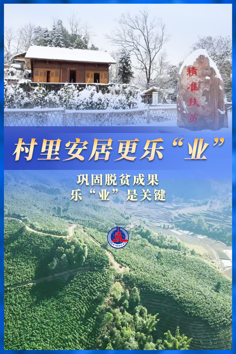 民生直通车|脱贫后，他们在村里安居更乐“业”