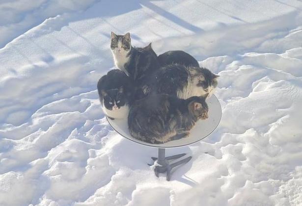 小哥仅用170元就破解马斯克的Space X卫星 攻击手法已公开 第2张-心情说说 小哥仅用170元就破解马斯克的Space X卫星 攻击手法已公开 第2张