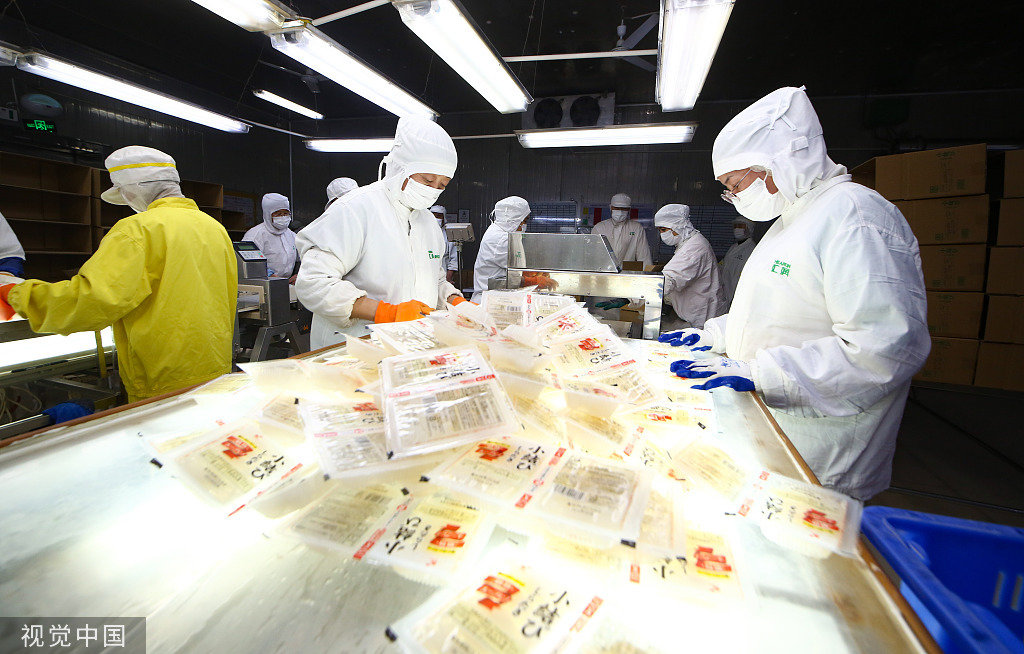 11月3日,山东潍坊一家食品企业正在生产出口日本的魔芋结.(视觉中国)