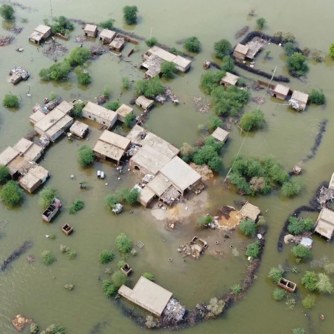 突发!联合国称,上海将在78年后被淹没!这场2.7亿人的灾难已无法阻止…