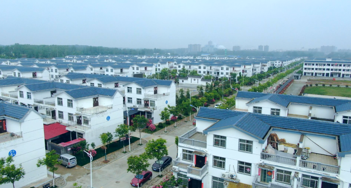 平桥区明港镇:乡村月季花盛开 立夏美景入画来__凤凰网