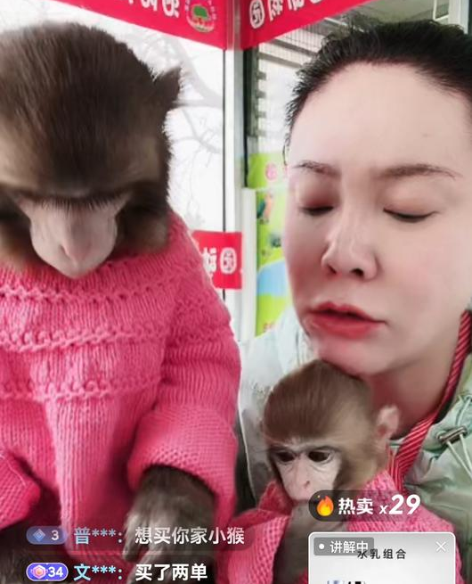 主播带货直播截图
