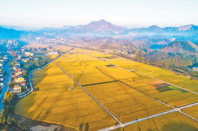 临安天目山镇图片