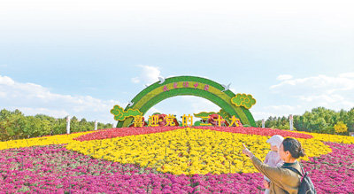 内蒙古自治区鄂尔多斯市康巴什区街头，“喜迎党的二十大”主题花坛精彩亮相，吸引许多游客前来观赏。　　