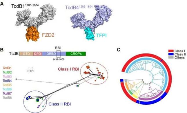 内 8132829_副本.jpg