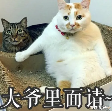图片 3.png