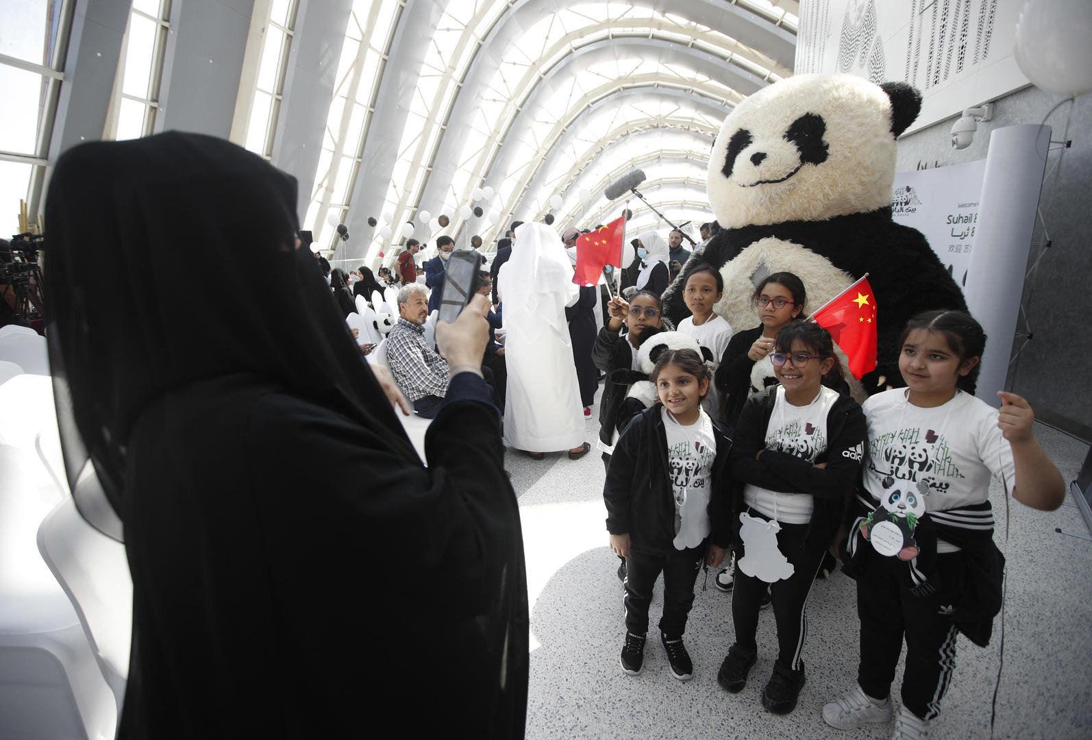 中国国宝大熊猫深受人们喜爱 图据IC photo