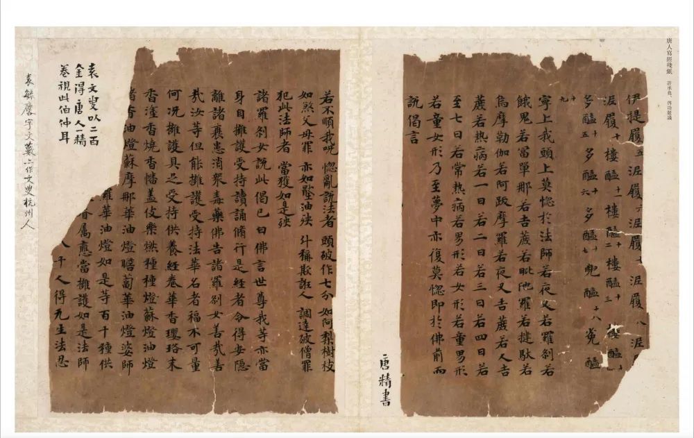 唐人写经残纸 许承尧、启功题识 说明:此为《敦皇石室写经残字》册页一开,册为许承尧赠张广建者。此册在厂肆待沽时,因系残片,启功先生得来。先生藏有唐人写经数卷,多在先生生前、身后捐献。