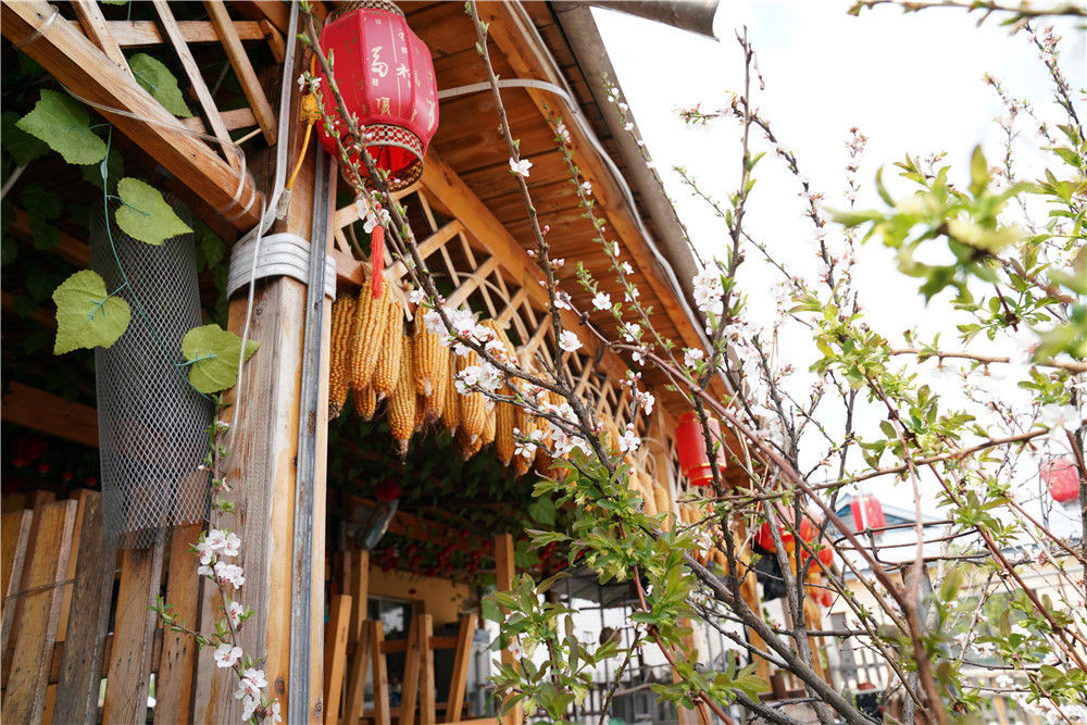 这是伊春森工上甘岭林业局公司溪水林场分公司退休职工刘养顺的农家乐外景（5月19日摄）。新华社记者王松摄