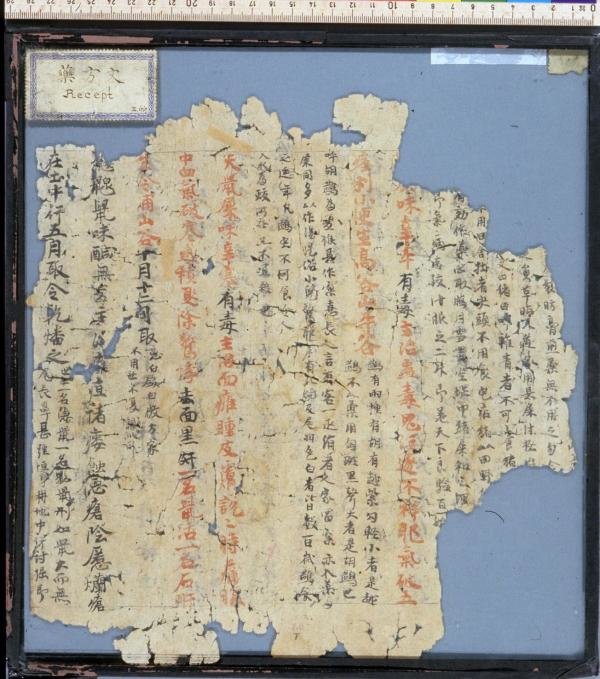 德藏吐鲁番《本草经集注》卷六朱墨分书残片，能体现集注原格式，且是合本标本