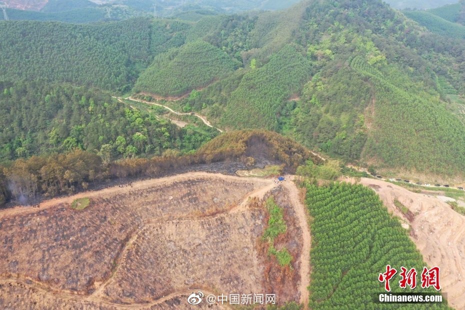 航拍东航MU5735坠毁现场