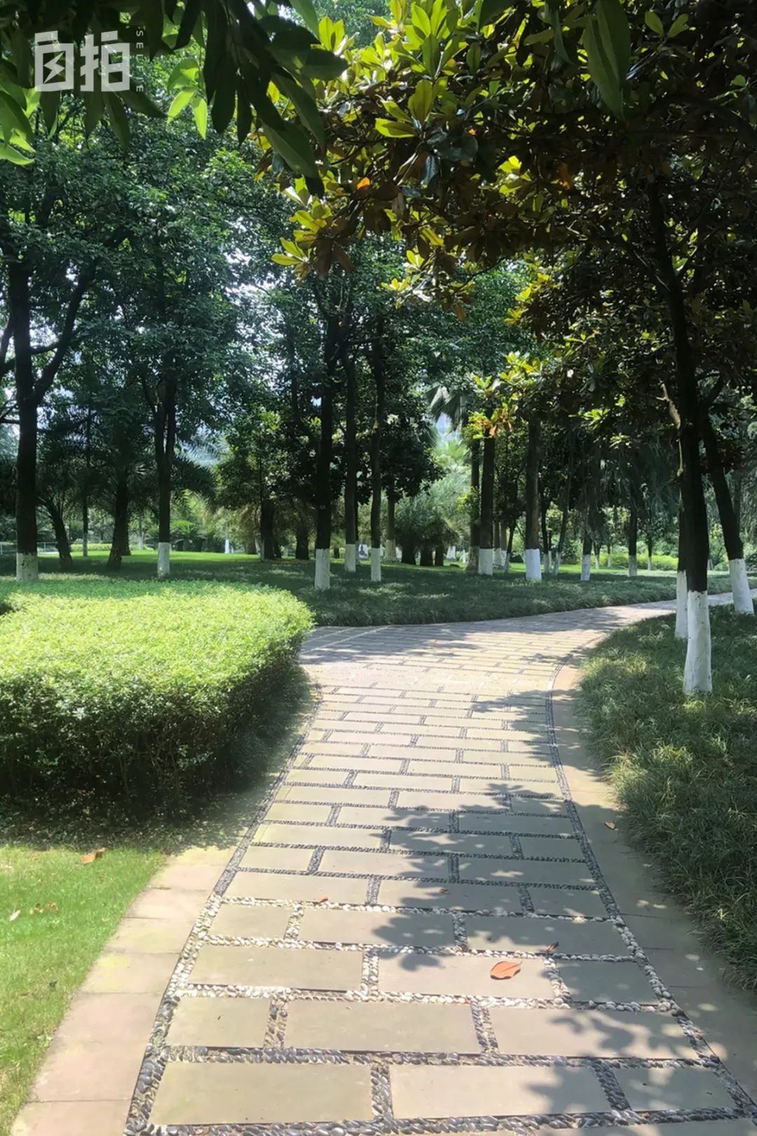 重庆的龙头寺公园,我比较喜欢户外运动,更在意一个城市有没有这些活动场所。